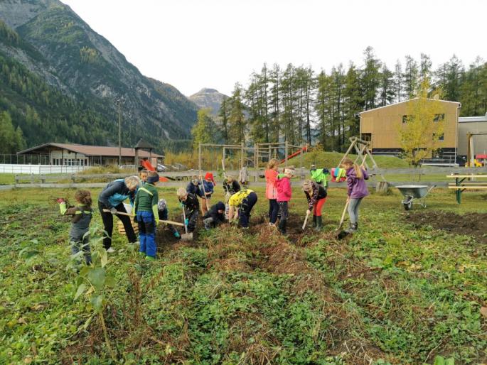 Bei der Kartoffelernte