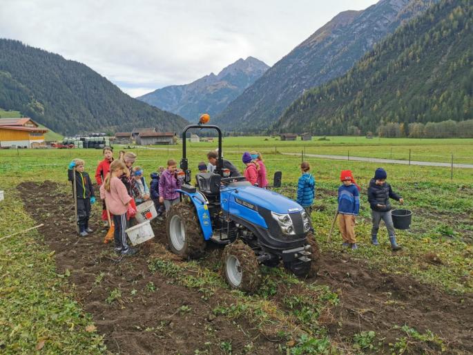 Auf dem Kartoffelacker