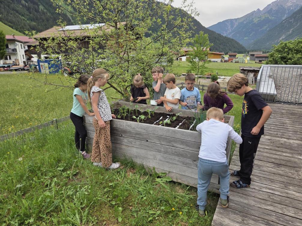 Hochbeet bepflanzen