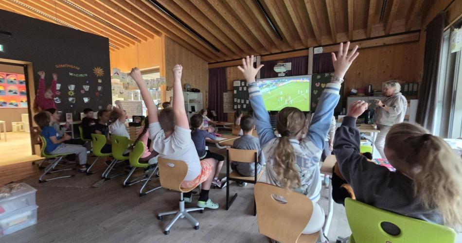 Public viewing