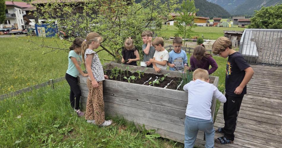 Hochbeet bepflanzen